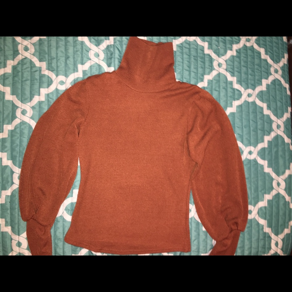Brown Turtleneck Sweater